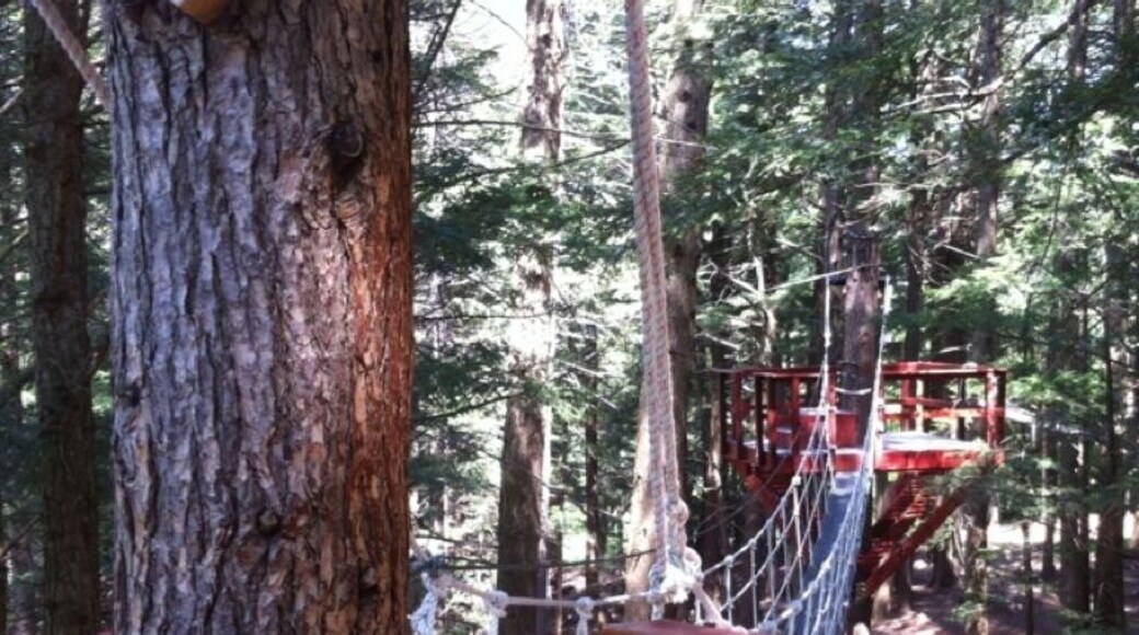 Mid mountain tour- zip lining