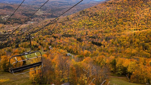 Golden fall season at the Hunter Mountain, NY, USA. Scenic skyride.