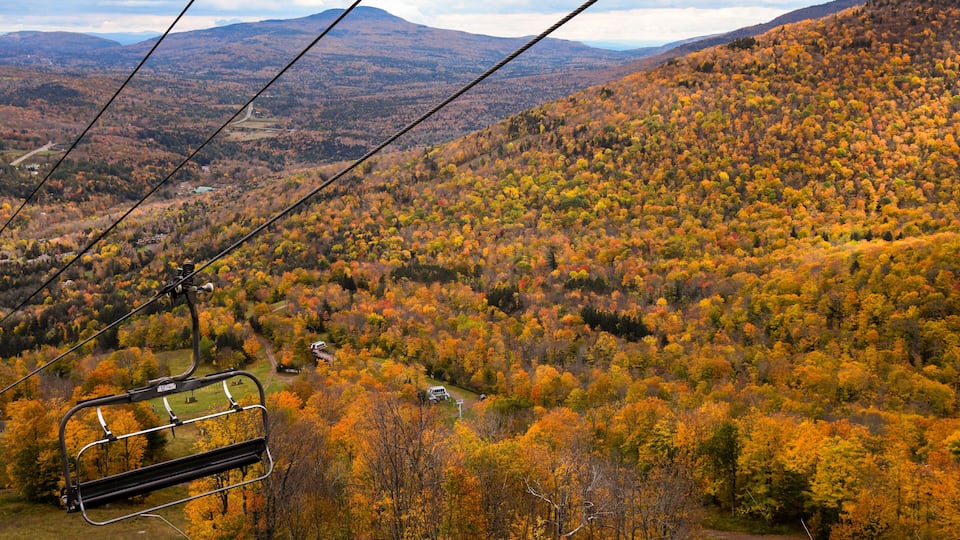 A cable car moving over a forested mountain during autumn.
