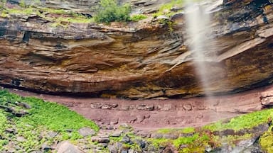 Uma cascata desce por um penhasco rochoso, cercada por vegetação.