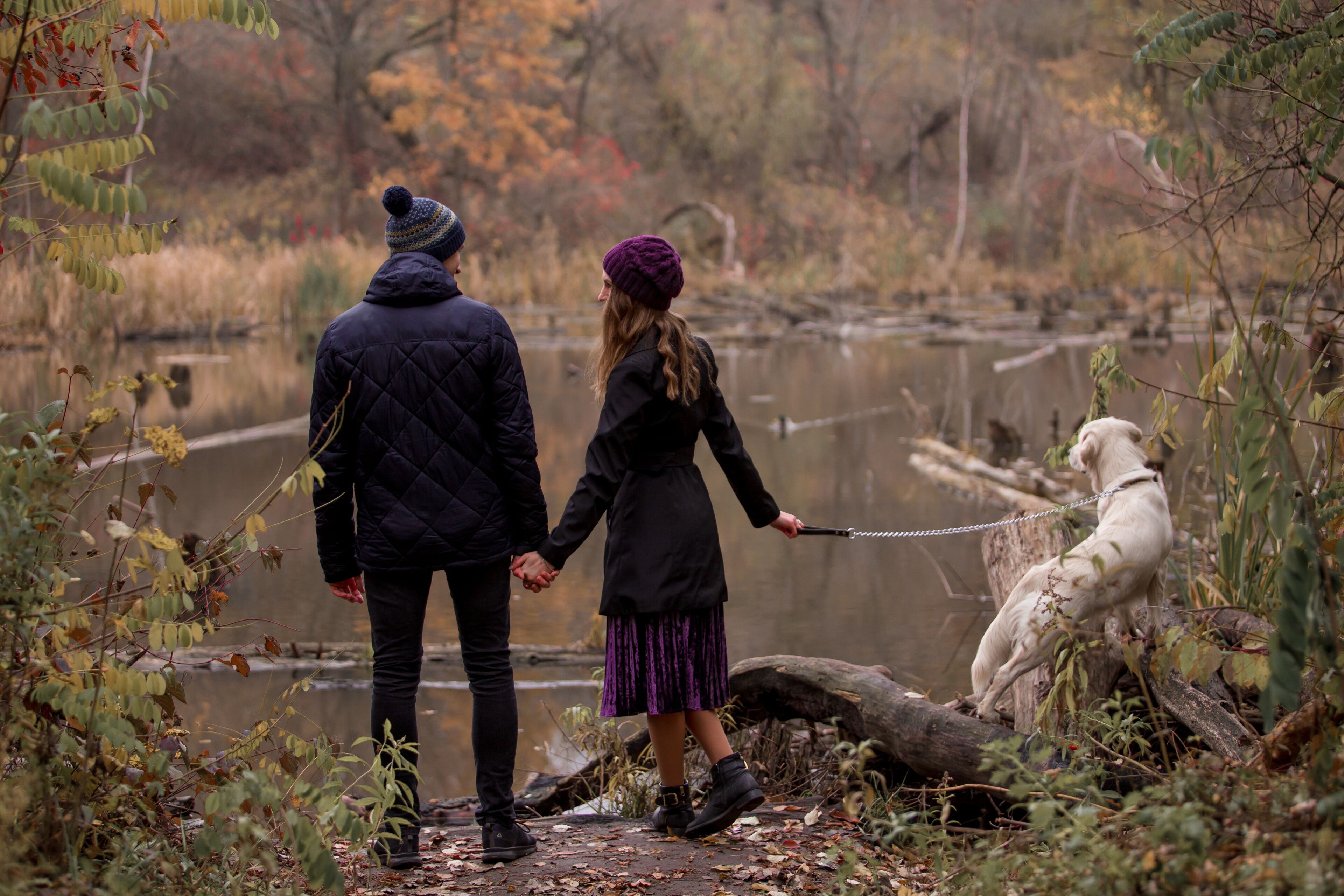couple, people, golden, fall, retriever, forest, together, walking, nature, woman, caucasian, healthy, man, male, lifestyle, season, love, outdoors, park, romantic, autumn, romance, lovely, fit, walk