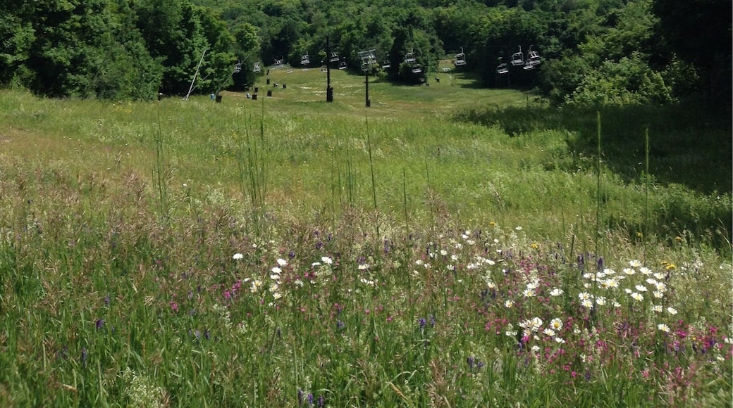 This is on of the most spectacular views in Windham. During the summer you can dirt bike down the mountain and in the winter you can ski.