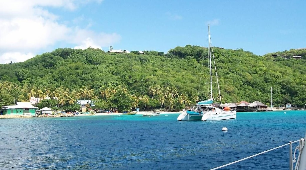 The island is home to the rich and famous! Visit by boat and get a tour from a local!