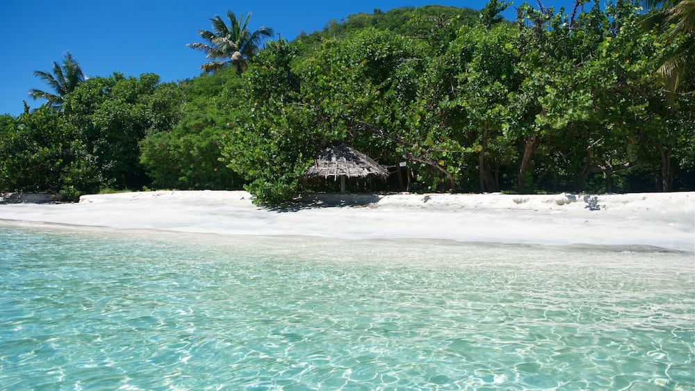 A beach with clear turquoise water, white sand, and lush green trees.