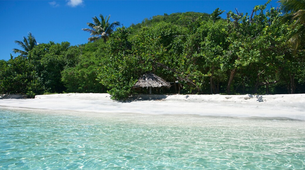 Mustique Island