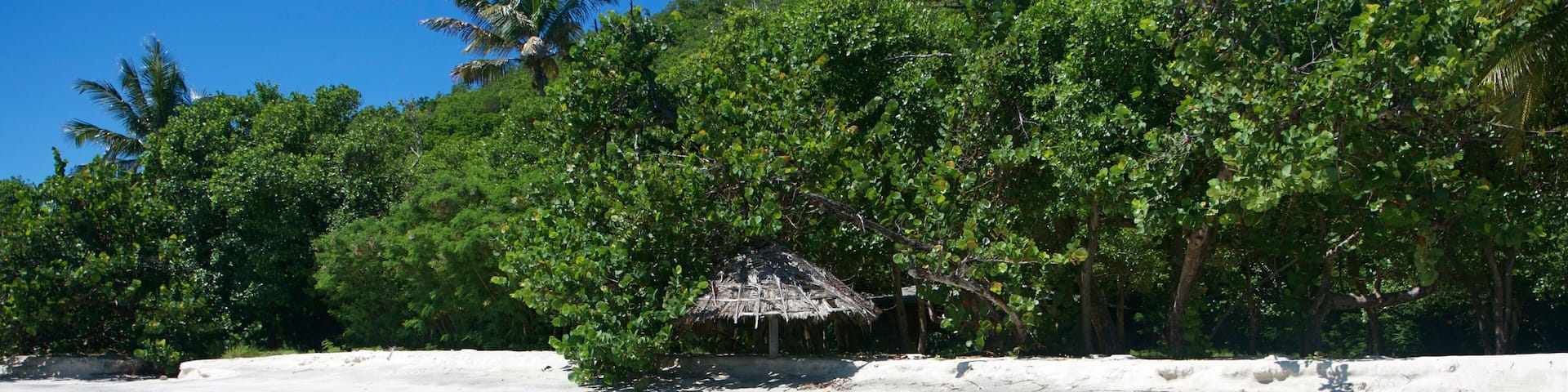 PSV st vincent and the grenadines caribbean 12