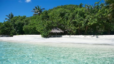 PSV st vincent and the grenadines caribbean 12