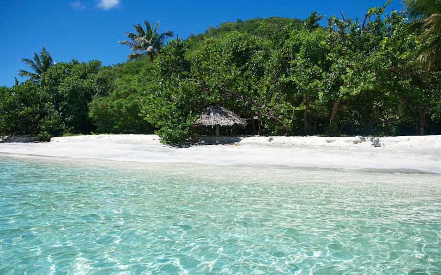 A beach with clear turquoise water, white sand, and lush green trees.
