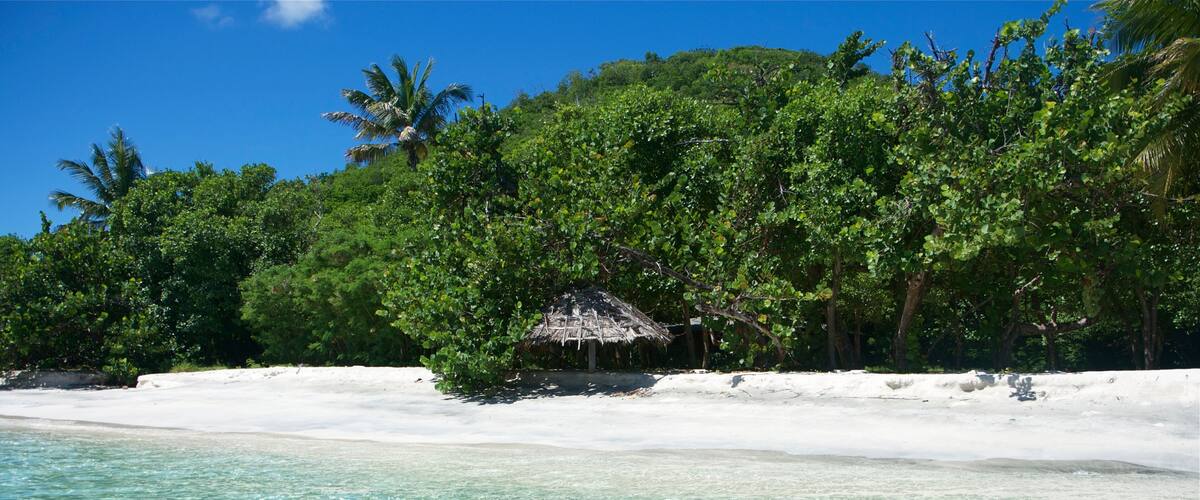 A beach with clear turquoise water, white sand, and lush green trees.