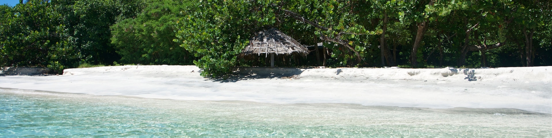 A beach with clear turquoise water, white sand, and lush green trees.