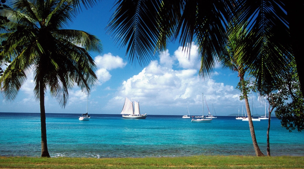 Palm trees on beach with sailboats in the distance off Mustique Island, Grenadines, Caribbean