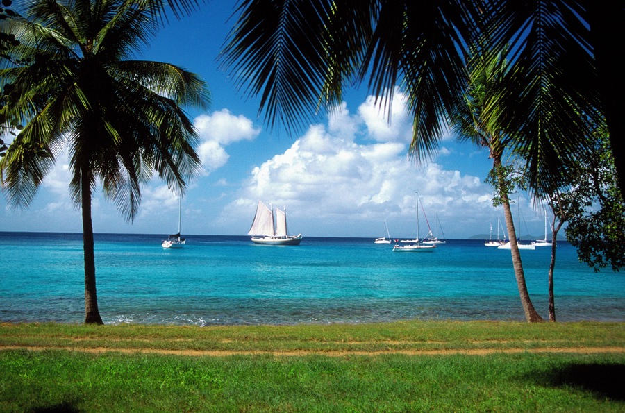Palm trees on beach with sailboats in the distance off Mustique Island, Grenadines, Caribbean