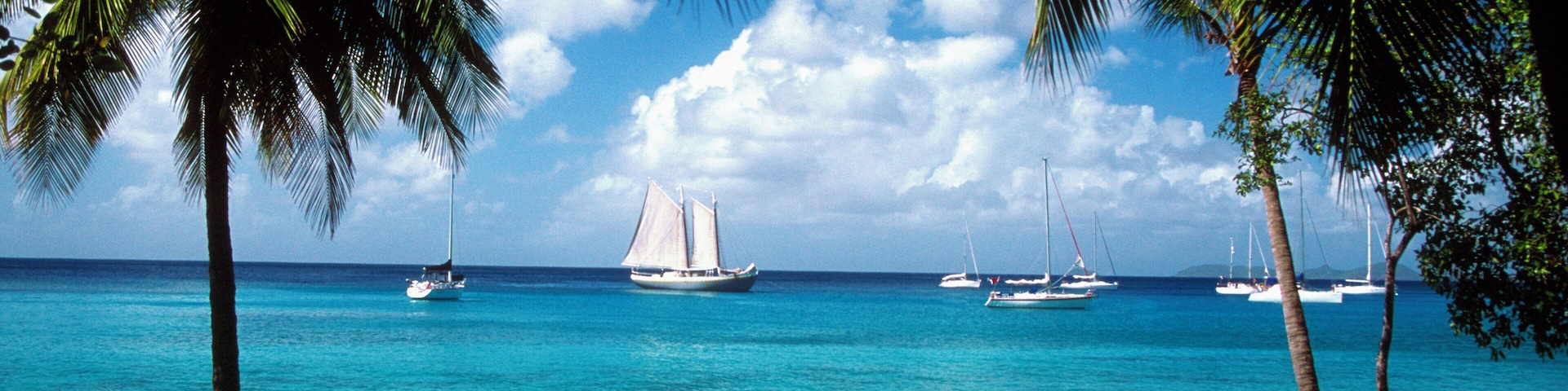 Palm trees on beach with sailboats in the distance off Mustique Island, Grenadines, Caribbean