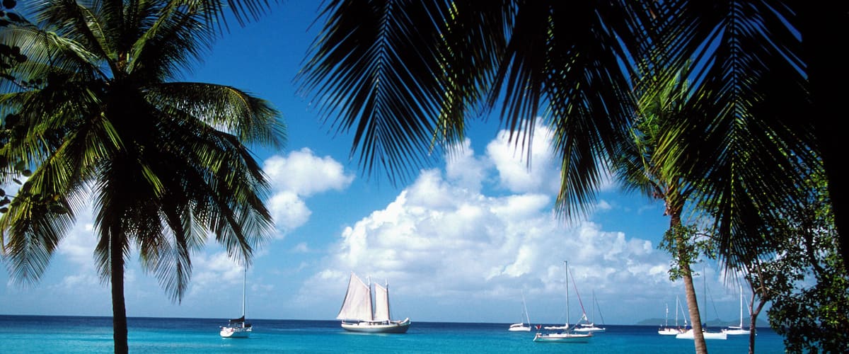 Palm trees on beach with sailboats in the distance off Mustique Island, Grenadines, Caribbean