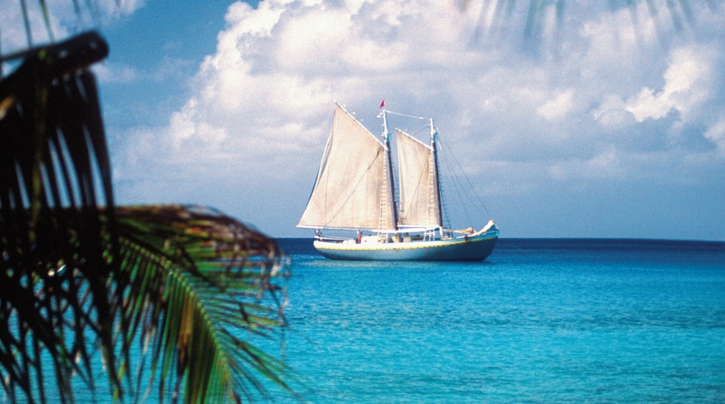 Palm trees on beach with sailboat in the distance off Mustique Island, Grenadines, Caribbean