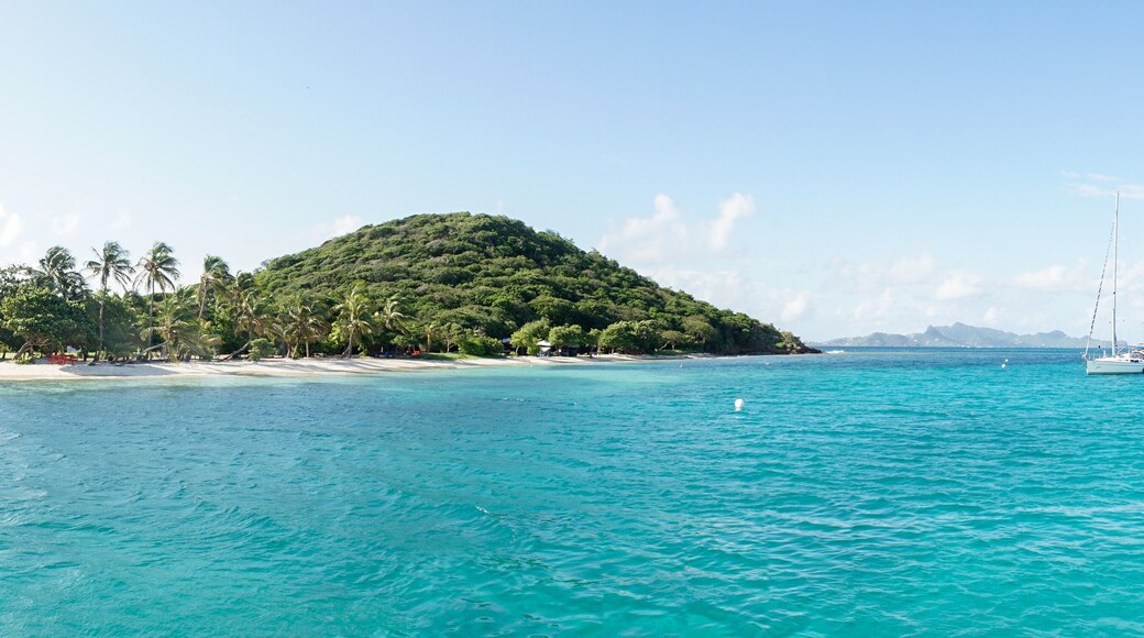 Tropical ocean and beach with sail boat yacht in the Tobago Cays, Saint Vincent and the Grenadines, Caribbean.