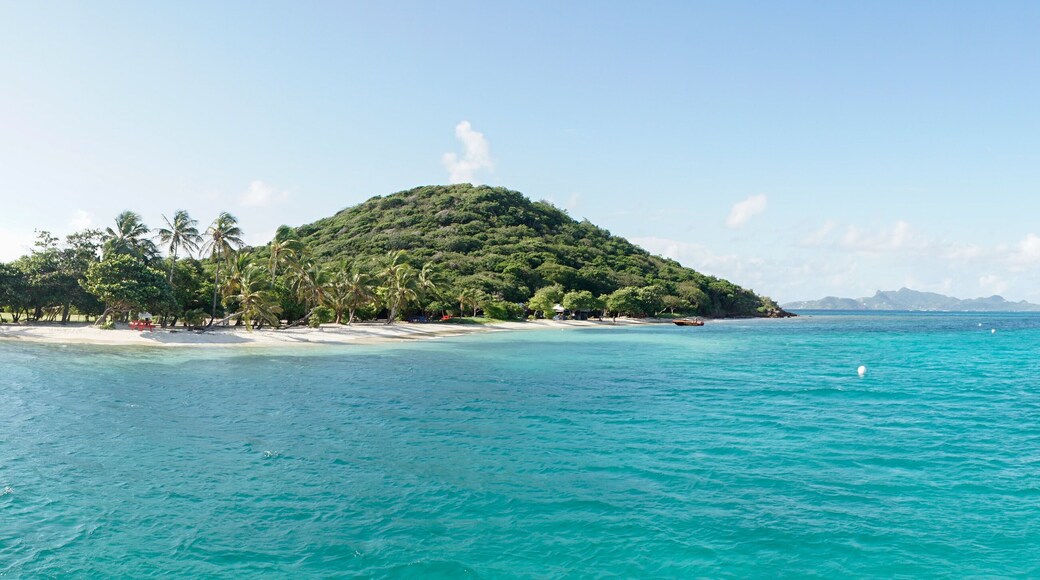 Tropical ocean and beach with sail boat yacht in the Tobago Cays, Saint Vincent and the Grenadines, Caribbean.