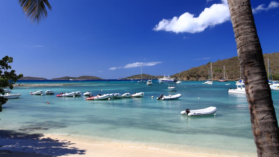 A beach with clear turquoise water, several small boats, and a palm tree.