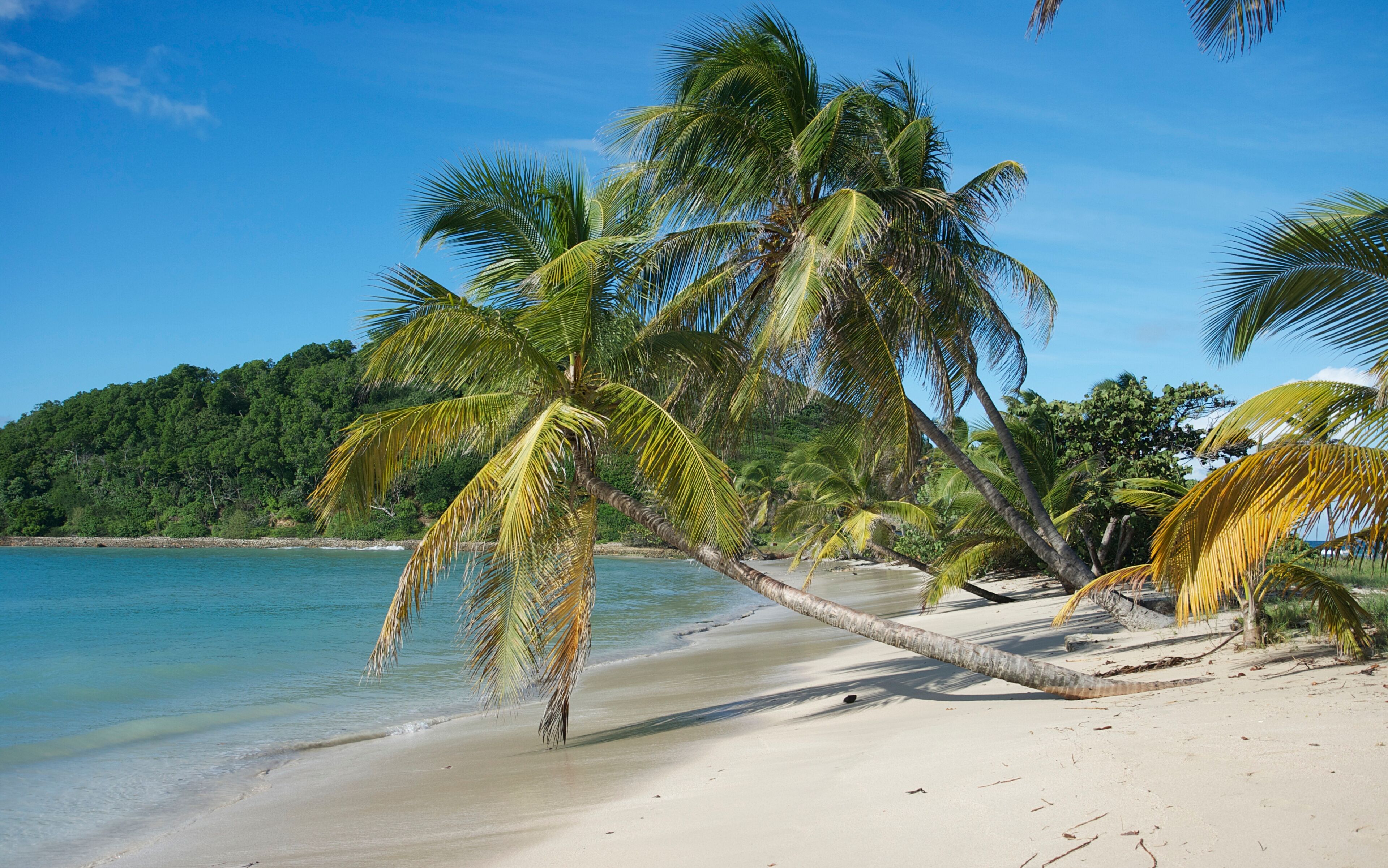 Bequia Island