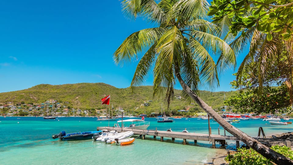 A coastal scene with clear turquoise water, a dock with boats, a palm tree, and a hillside with buildings in the background.