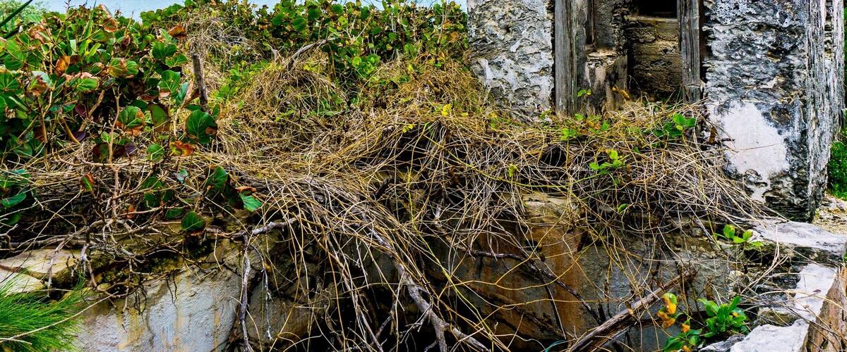 The old lighthouse on Little Harbor. Great Abaco, Bahamas. A overgrown trail located a little way from the anchorage leads you to this abandon lighthouse that over looks the Atlantic and Sea of Abaco.