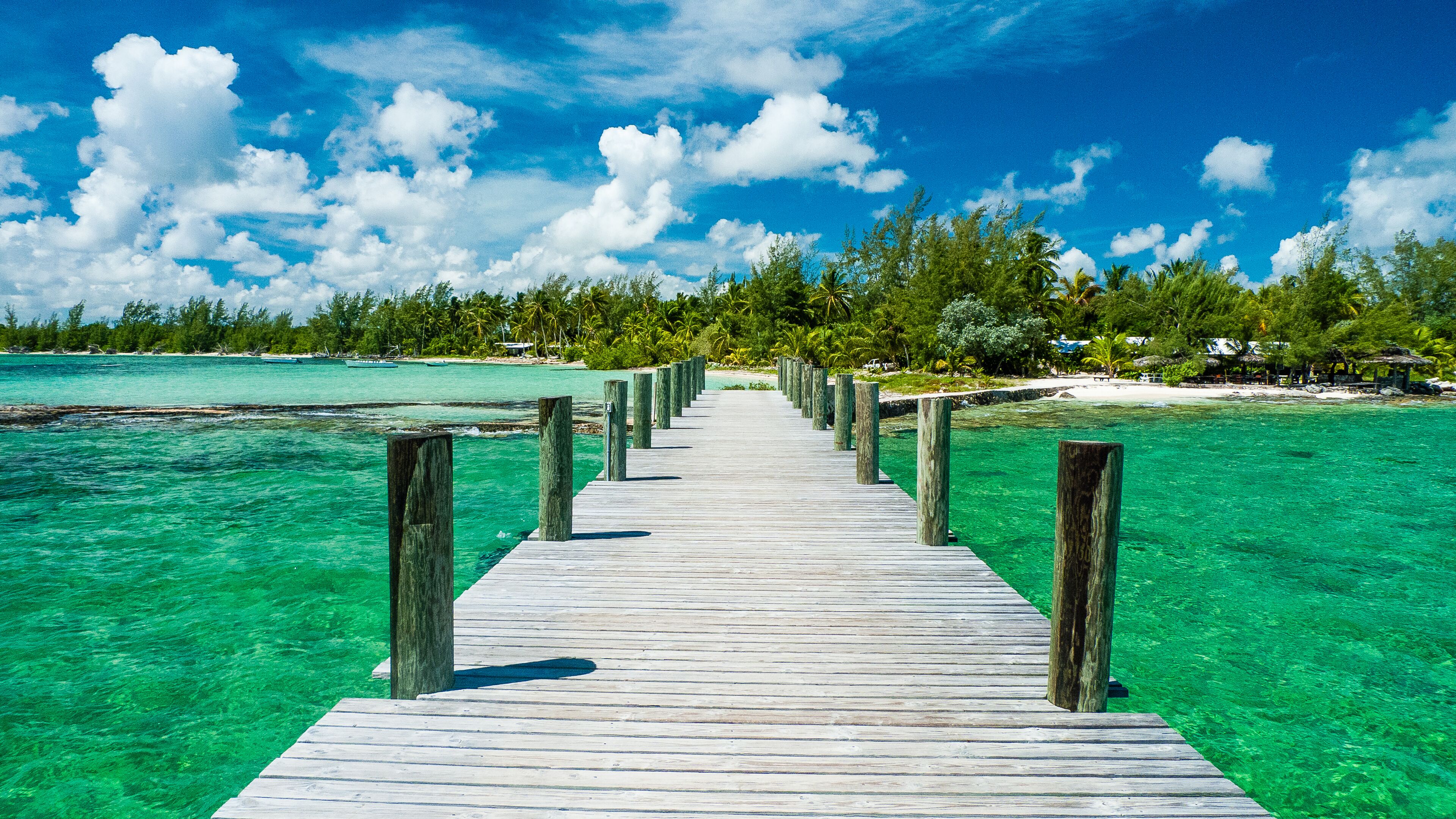 A wooden pier leading to a turquoise beach with clear water and a backdrop of palm trees and a clear sky.