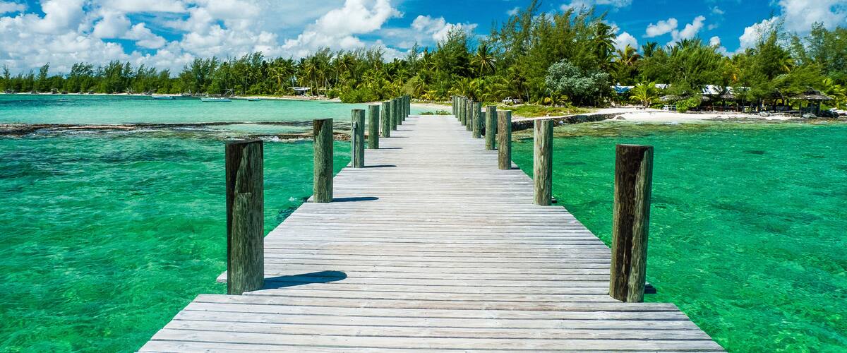 A wooden pier leading to a turquoise beach with clear water and a backdrop of palm trees and a clear sky.