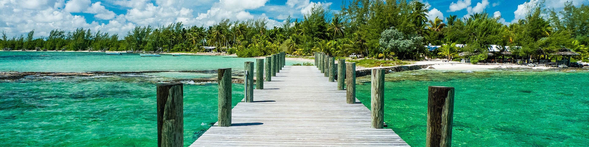 A wooden pier leading to a turquoise beach with clear water and a backdrop of palm trees and a clear sky.