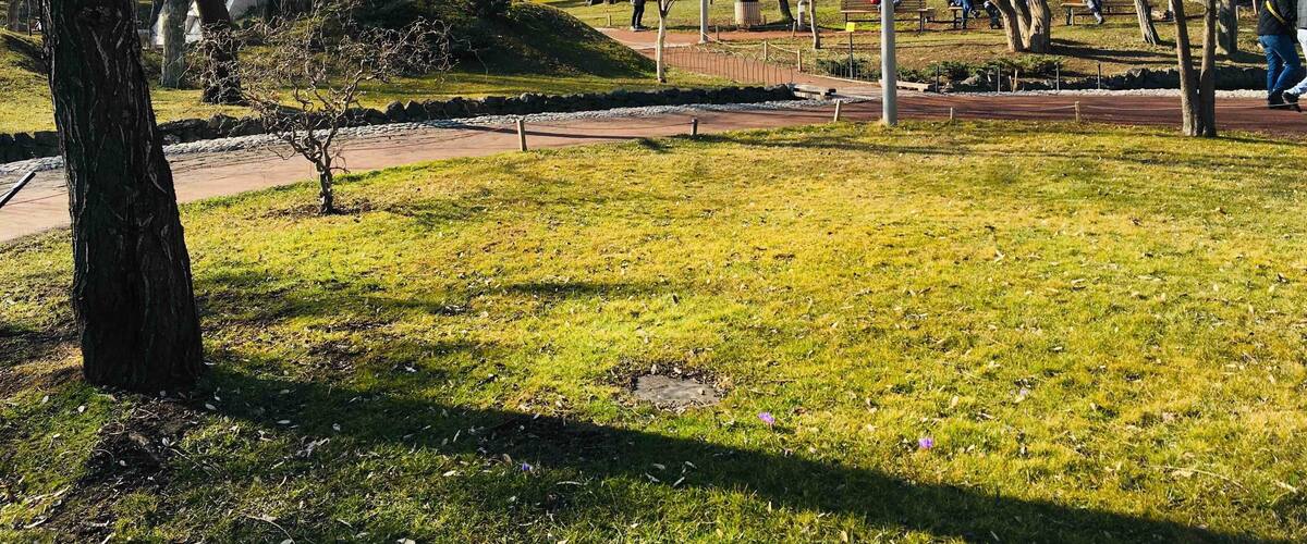 Lovers' Park is a public park in Yerevan, Armenia, located on Baghramyan Avenue. It's a nice place for spending time.. mostly for couples. #park#Yerevan #Greatoutdoors #nature😍😅⛲️🌳