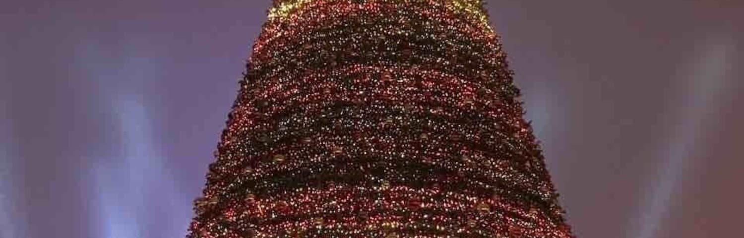 New year celebration #X'mas tree#Colorful#Yerevan#Greatoutdoors 🎄❄️🥂