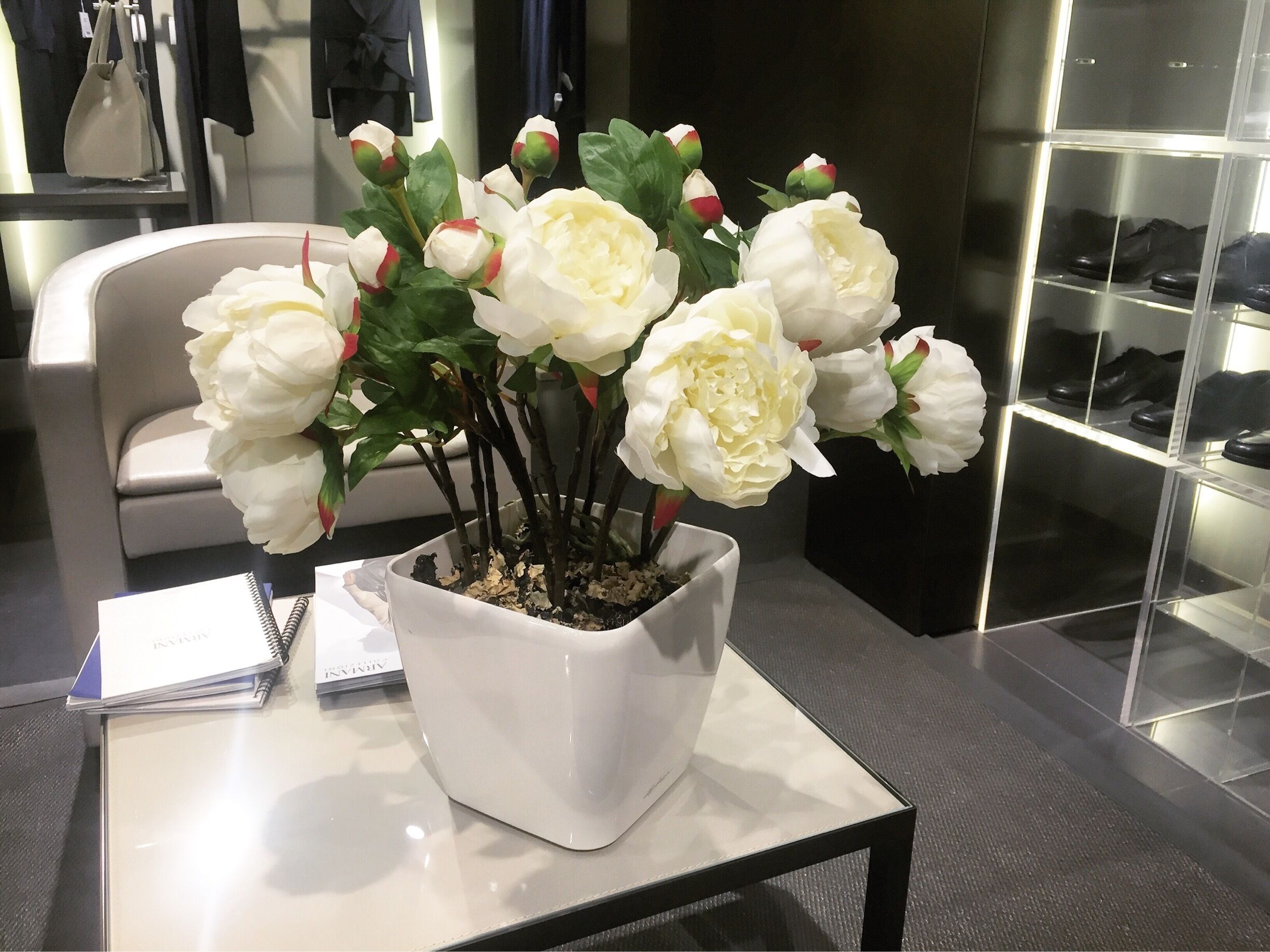 Flowers are the first thing that shows us spring's coming #flowers #spring