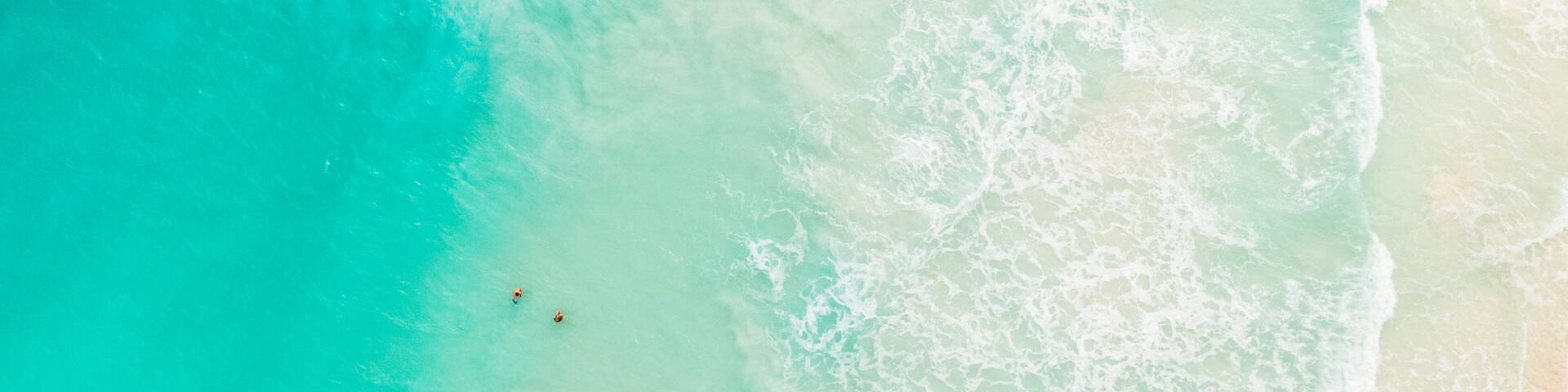 Eleuthera and Harbour Island showing a sandy beach, tropical scenes and swimming