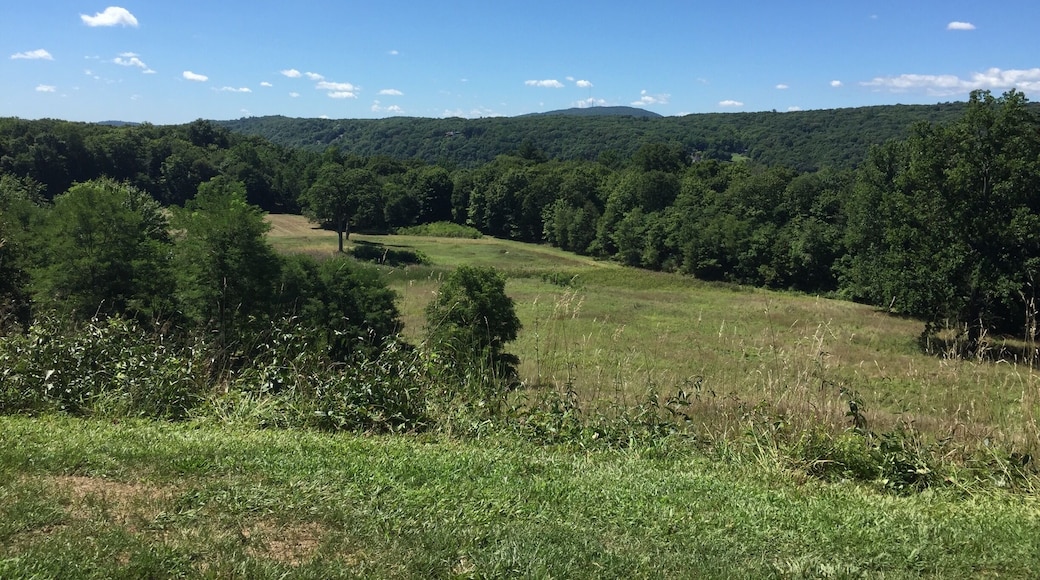 Inspiring to be where one of the greatest presidents of the United States lived.