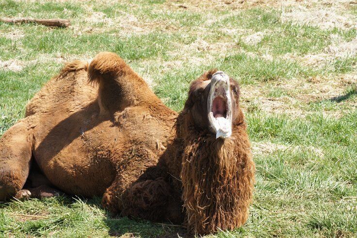 It's not even Wednesday yet!!