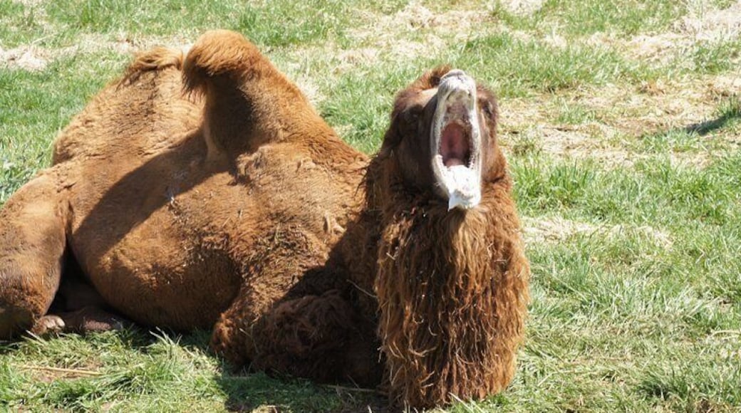 It's not even Wednesday yet!!