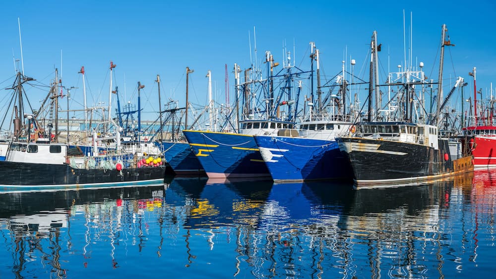 A marina with several fishing boats docked, including a prominent red and white vessel.