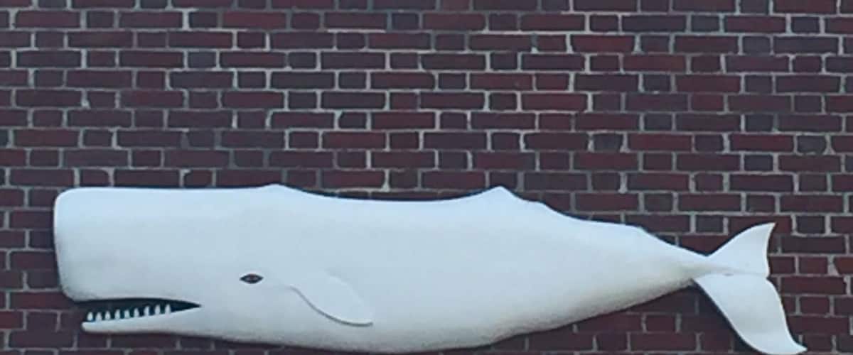 Whale Below Window - very cool, quaint museum in a town time forgot. Cobble stone streets, harbor, whaling lore abound. New Bedford MA. July 2016