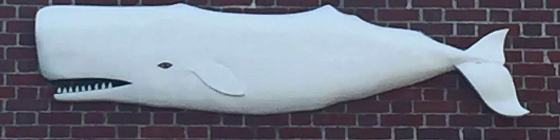 Whale Below Window - very cool, quaint museum in a town time forgot. Cobble stone streets, harbor, whaling lore abound. New Bedford MA. July 2016