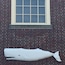 Whale Below Window - very cool, quaint museum in a town time forgot. Cobble stone streets, harbor, whaling lore abound. New Bedford MA. July 2016