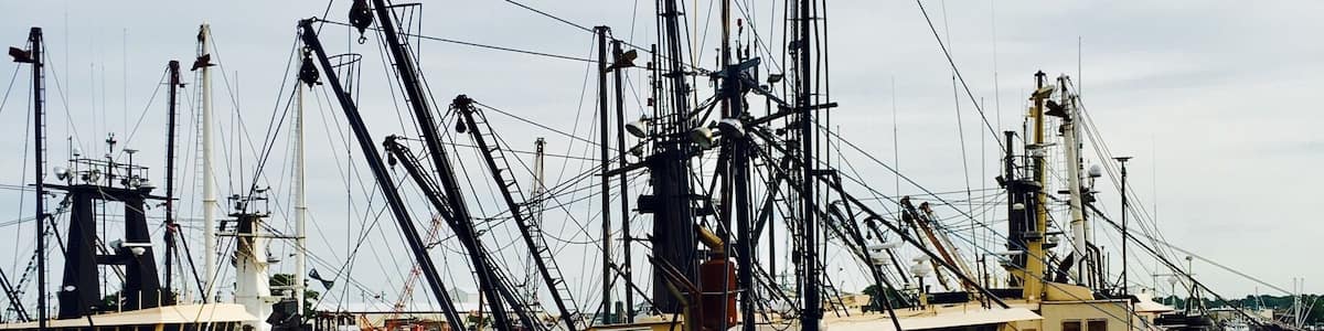Heading out from the ferry terminal, many fishing vessels docked in the area.