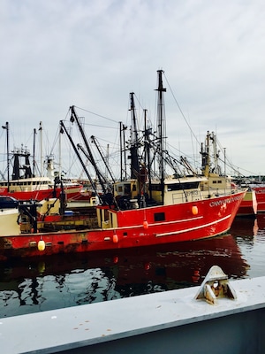 Heading out from the ferry terminal, many fishing vessels docked in the area.