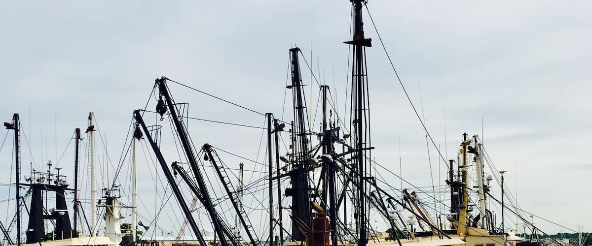 Heading out from the ferry terminal, many fishing vessels docked in the area.