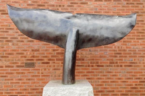 A whale tail sculpture mounted on a brick wall.