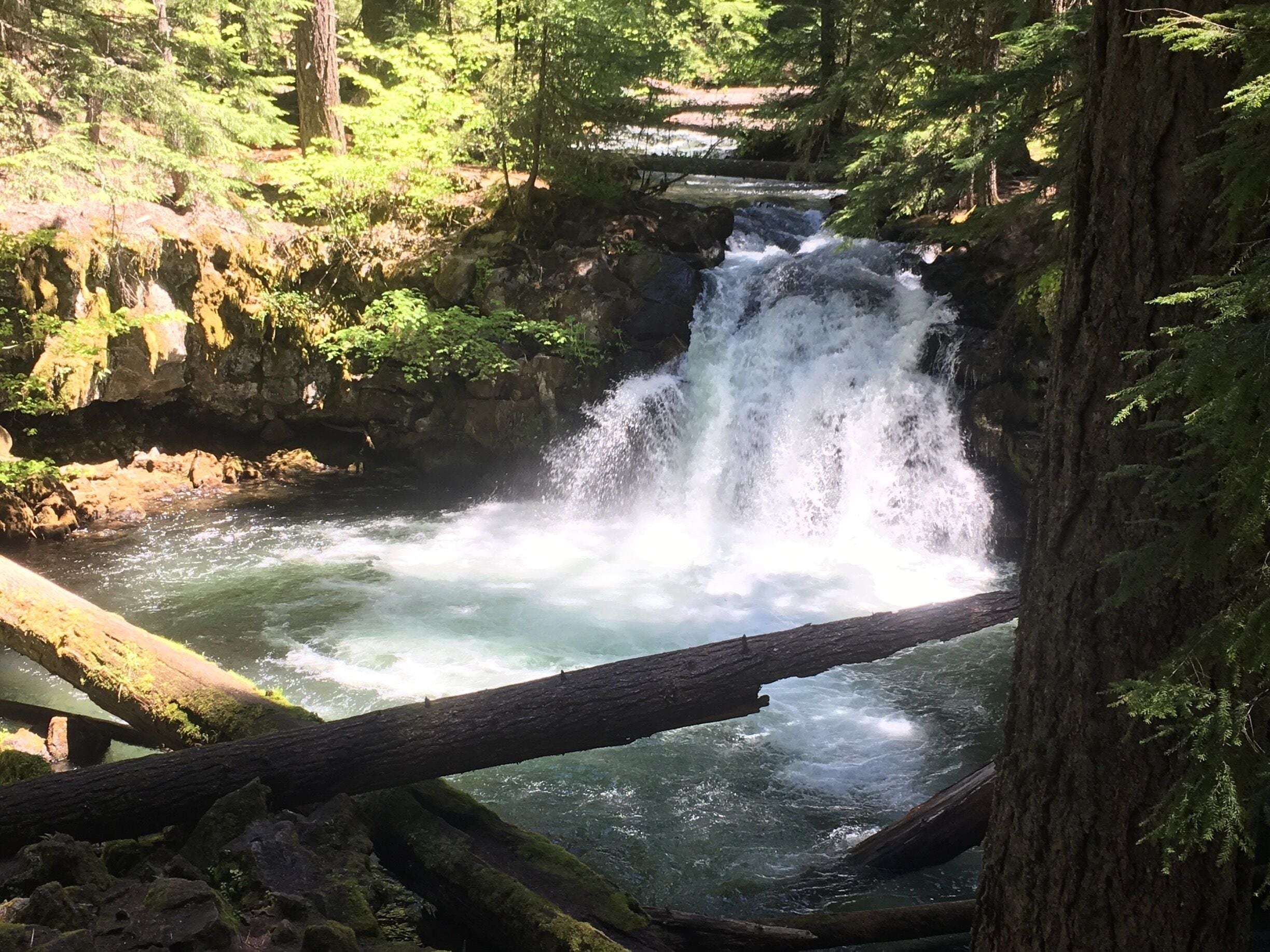 Beautiful view takes no effort to see. Just a couple miles south of Toketee and Watson Falls. You can drive and park and see it steps from your car. #kidfun #water #waterfall #easy #outdoor #views #outdoor #explore #oregon #adventure #kidfun  