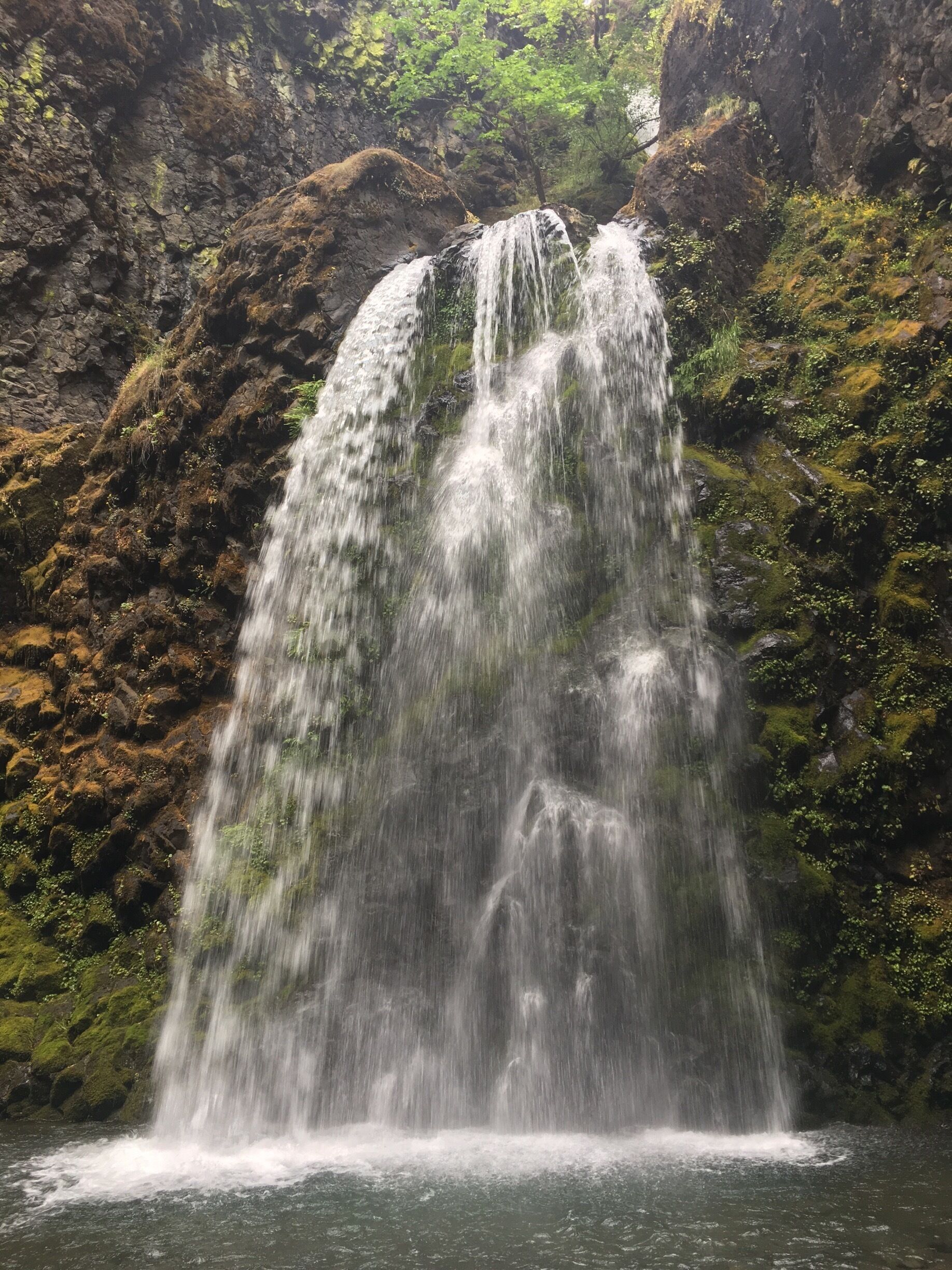 0.8 mile hike. Family and dog friendly. Some steep areas. You can feel the mist and after the waterfall viewing area and you continue hiking up to see the waterfall that leads to this one and even higher to look out over the trees and down on the falls. waterfall #hike #kidsfun #dogs #pnw #outdoors #adventure #southernoregon #oregon #familyhike #explore #trails