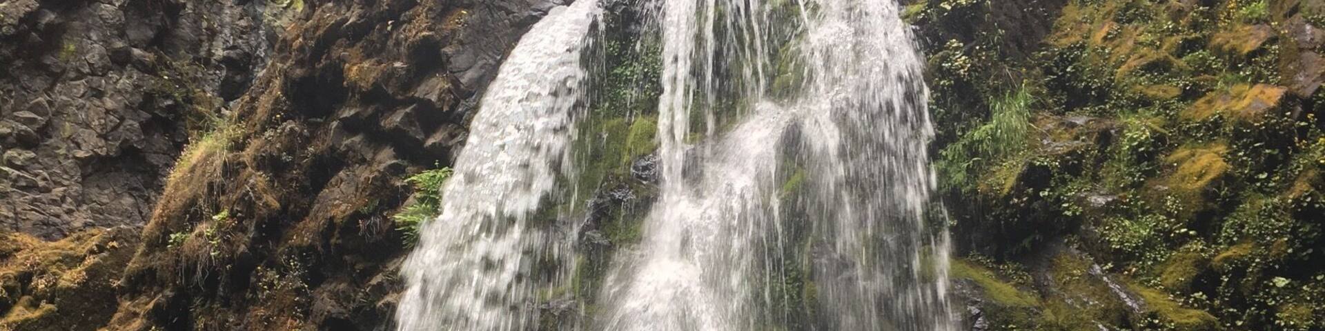 0.8 mile hike. Family and dog friendly. Some steep areas. You can feel the mist and after the waterfall viewing area and you continue hiking up to see the waterfall that leads to this one and even higher to look out over the trees and down on the falls. waterfall #hike #kidsfun #dogs #pnw #outdoors #adventure #southernoregon #oregon #familyhike #explore #trails
