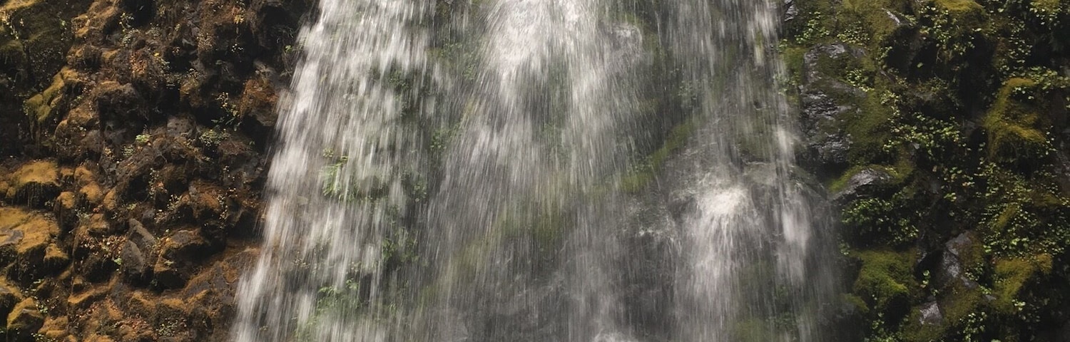 0.8 mile hike. Family and dog friendly. Some steep areas. You can feel the mist and after the waterfall viewing area and you continue hiking up to see the waterfall that leads to this one and even higher to look out over the trees and down on the falls. waterfall #hike #kidsfun #dogs #pnw #outdoors #adventure #southernoregon #oregon #familyhike #explore #trails