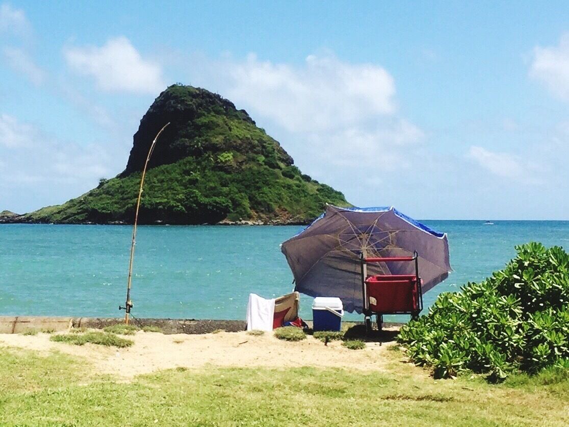 Mokoli'i Island, usually know as Chinaman's Hat. 
There are hundreds of stops along Kamehameha Hiway to stop and take photos, but by far the best spot is from Kualoa Regional Park. The beach isn't good for swimming, but you'll find driftwood.  Gorgeous views of the Ko'olau Mountains behind you. You drive right by this park and it will be a shame if you don't stop.