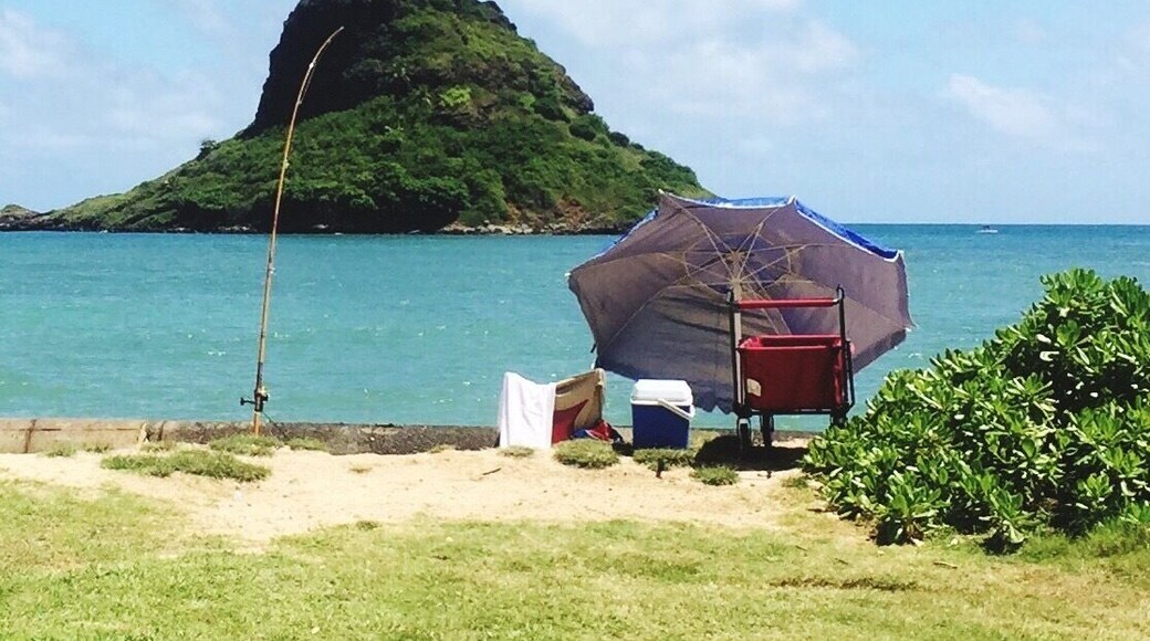 Mokoli'i Island, usually know as Chinaman's Hat.
There are hundreds of stops along Kamehameha Hiway to stop and take photos, but by far the best spot is from Kualoa Regional Park. The beach isn't good for swimming, but you'll find driftwood. Gorgeous views of the Ko'olau Mountains behind you. You drive right by this park and it will be a shame if you don't stop.