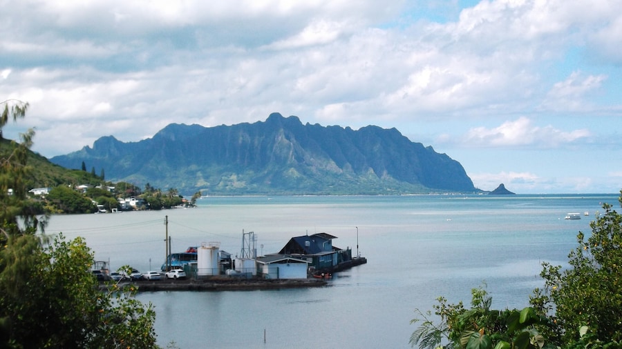 Kaneohe Hawaii.